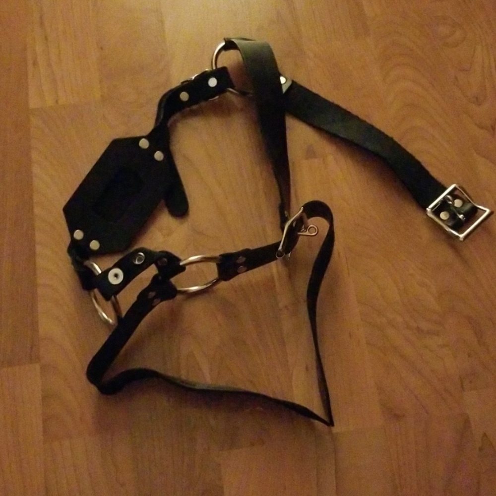 Butt plug harness with cock ring